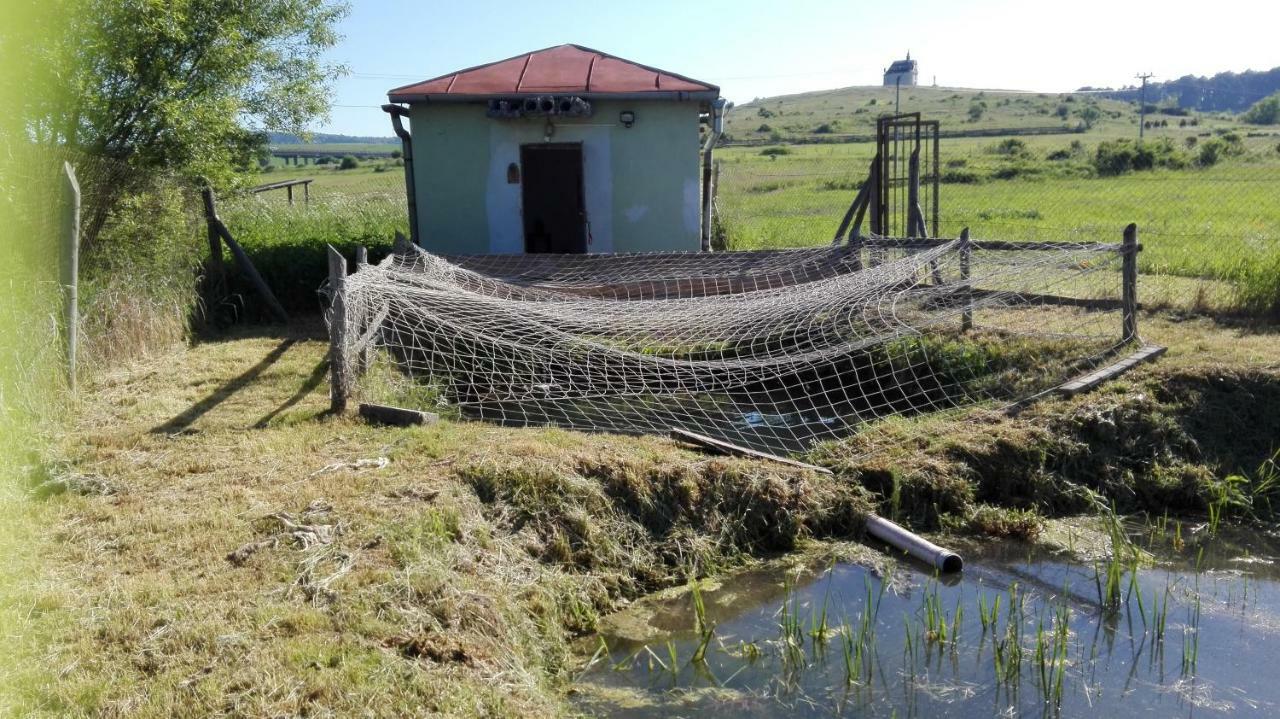 Turistika Ubytovna Siva Brada Spišské Podhradie Εξωτερικό φωτογραφία